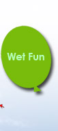 Wet Fun | Inflatable Water Slides